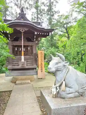 白岡八幡神社(埼玉県)