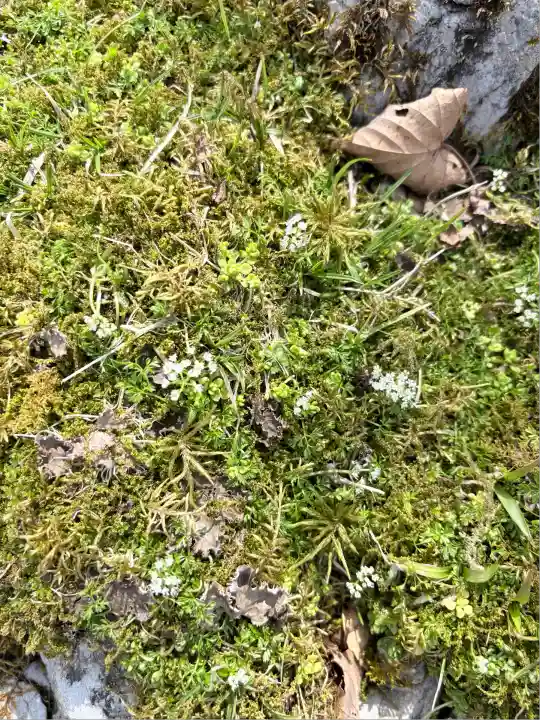 大劔神社(徳島県)