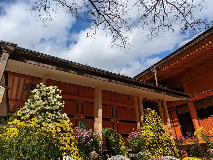 富士山本宮浅間大社(静岡県)