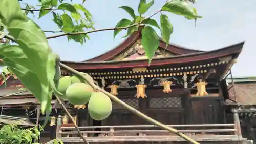 北野天満宮の本殿・本堂