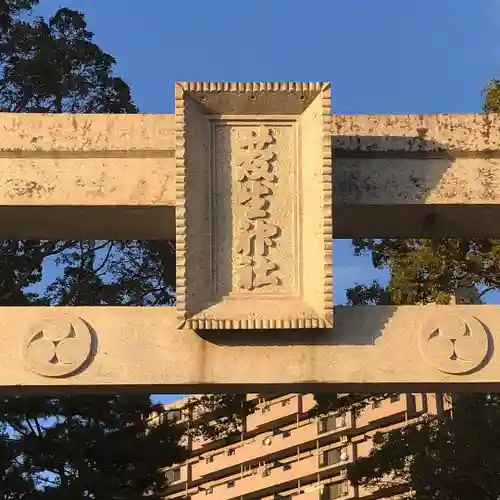 菅生神社の鳥居