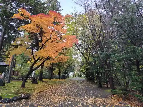 鷹栖神社の自然