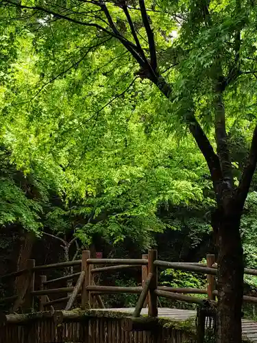 鳥取東照宮（旧樗谿神社）の自然
