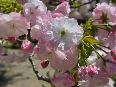 日岡神社(兵庫県)
