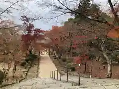 宝満宮竈門神社(福岡県)