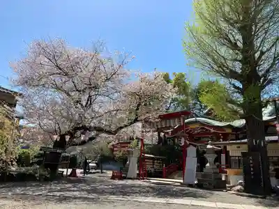 居木神社(東京都)