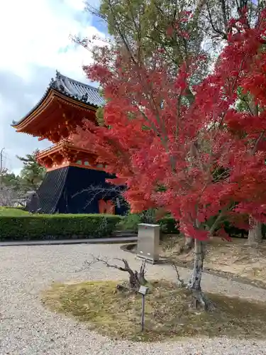 仁和寺の庭園