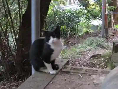 伏見稲荷大社(京都府)