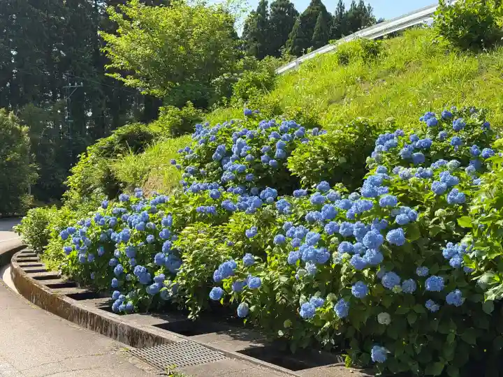 倶利迦羅不動寺鳳凰殿(石川県)