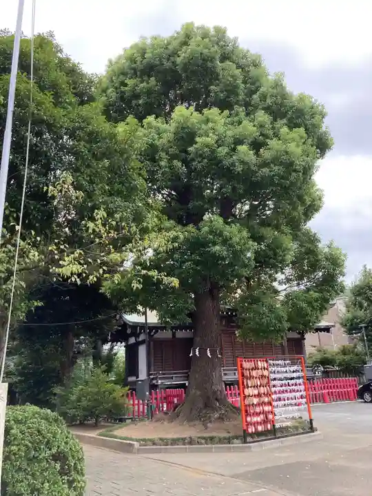 東京羽田 穴守稲荷神社のその他建物