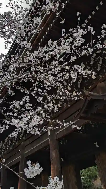 知恩院(京都府)