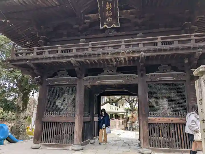 檀王法林寺(栴檀王院無上法林寺)の山門・神門
