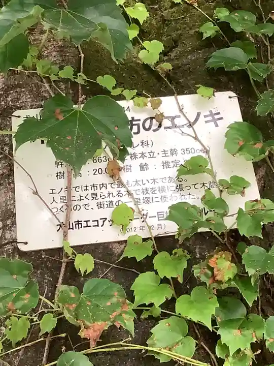 熱田神社の自然