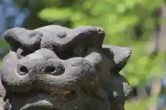 根津神社の狛犬