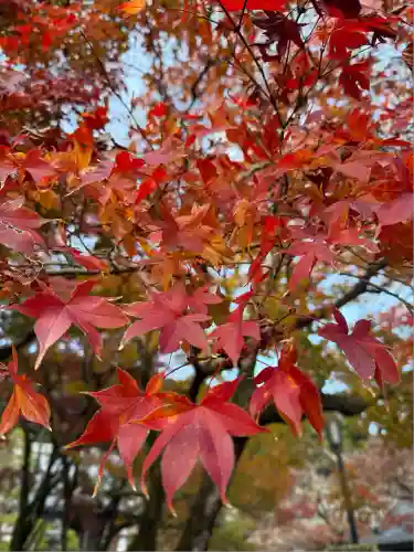 修禅寺(静岡県)
