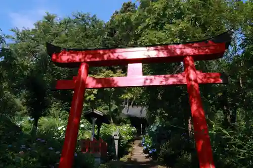 三春駒神社の鳥居