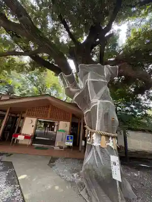 座間神社(神奈川県)