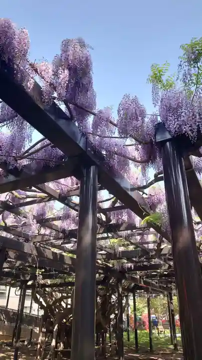 相馬神社(北海道)
