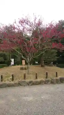 大神神社(奈良県)