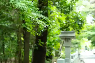 針名神社(愛知県)