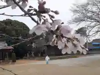 伏木香取神社の自然