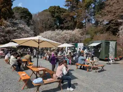 千代ケ岡八幡宮(栃木県)