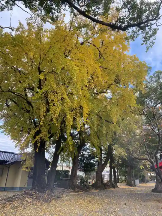 美奈宜神社(福岡県)