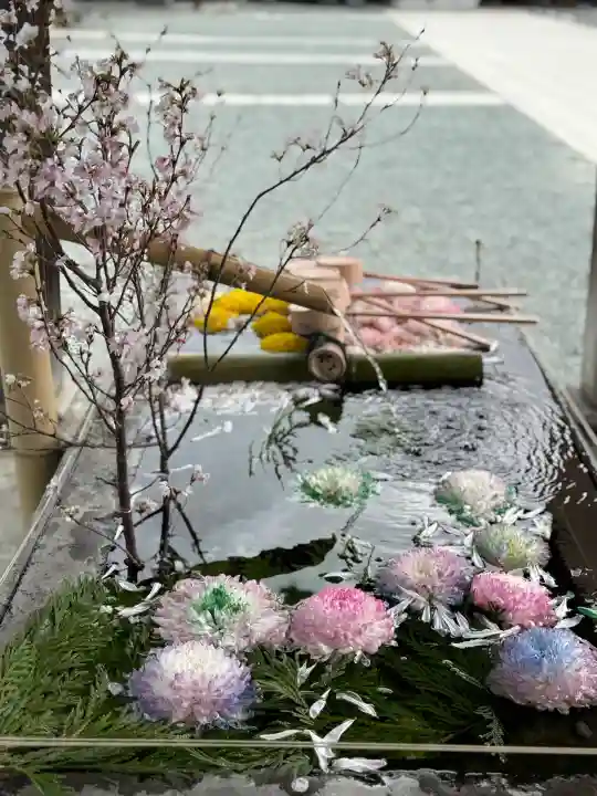 成田山川越別院の{uncategorized: "未分類", other: "その他", undefined: "問題あり", building: "その他建物", grave: "お墓", sacred_gate: "鳥居", guardian: "狛犬", statue: "像", buddha: "仏像", history: "歴史", nature: "自然", garden: "庭園", animal: "動物", pagoda: "塔", temizu: "手水舎", mountain_gate: "山門・神門", sanctuary: "本殿・本堂", subordinate: "末社・摂社", art: "芸術", scenery: "景色", jizo: "地蔵", ema: "絵馬", goshuin: "御朱印", omikuji: "おみくじ", items: "授与品その他", amulet: "お守り", goshuincho: "御朱印帳", eats: "食事", festival: "お祭り", votive_dance: "神楽", shichigosan: "七五三参", wedding: "結婚式", experience: "体験その他", initially: "初詣", around: "周辺", anti_infection: "感染症対策"}