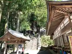 龍渕寺の建物その他