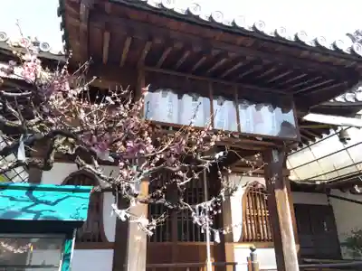 善福寺(三重県)