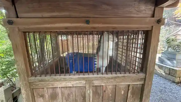 朝代神社(京都府)
