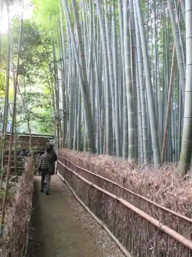 祇王寺(京都府)