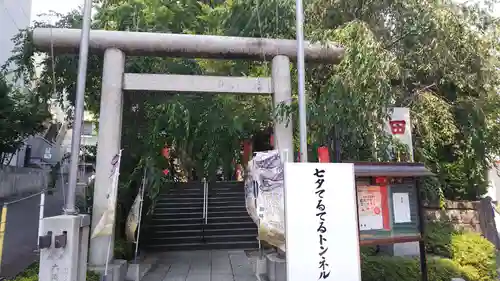 田無神社の鳥居