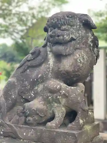 （芝生）浅間神社の狛犬