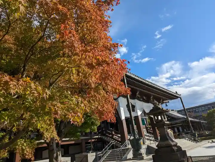 智積院(京都府)