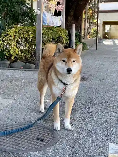 感通寺(東京都)