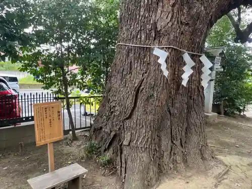 芳川神社(埼玉県)