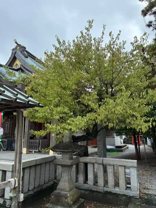 久里浜天神社(神奈川県)