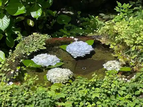 永平寺(福井県)