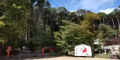 大原野神社(京都府)