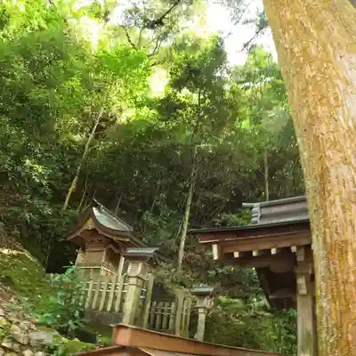 伊奈波神社の本殿・本堂