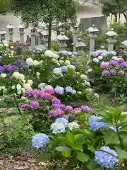 富士浅間神社の自然