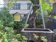 谷中 妙福寺(東京都)