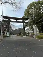 愛知縣護國神社の鳥居