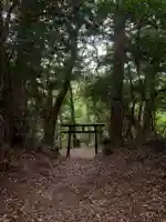神社(名称不明)(千葉県)