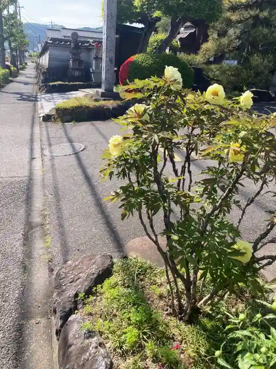 常保寺(東京都)