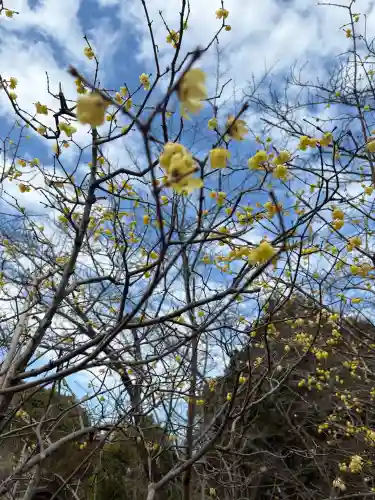 天伯山神社の{uncategorized: "未分類", other: "その他", undefined: "問題あり", building: "その他建物", grave: "お墓", sacred_gate: "鳥居", guardian: "狛犬", statue: "像", buddha: "仏像", history: "歴史", nature: "自然", garden: "庭園", animal: "動物", pagoda: "塔", temizu: "手水舎", mountain_gate: "山門・神門", sanctuary: "本殿・本堂", subordinate: "末社・摂社", art: "芸術", scenery: "景色", jizo: "地蔵", ema: "絵馬", goshuin: "御朱印", omikuji: "おみくじ", items: "授与品その他", amulet: "お守り", goshuincho: "御朱印帳", eats: "食事", festival: "お祭り", votive_dance: "神楽", shichigosan: "七五三参", wedding: "結婚式", experience: "体験その他", initially: "初詣", around: "周辺", anti_infection: "感染症対策"}