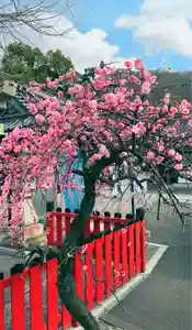 瀧宮神社(広島県)(2026年02月25日(水) 06時04分58秒投稿)