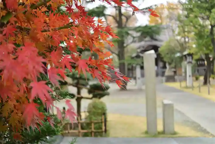日枝大神社(神奈川県)