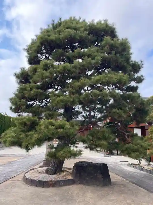 地蔵寺(桂地蔵寺)(京都府)